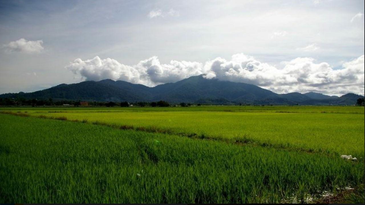 Barakah Homestay Alor Setar Buitenkant foto